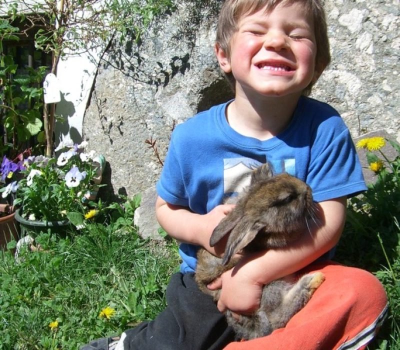 Gaestefoto-und-Alm-Mai-2009-063-684x1024