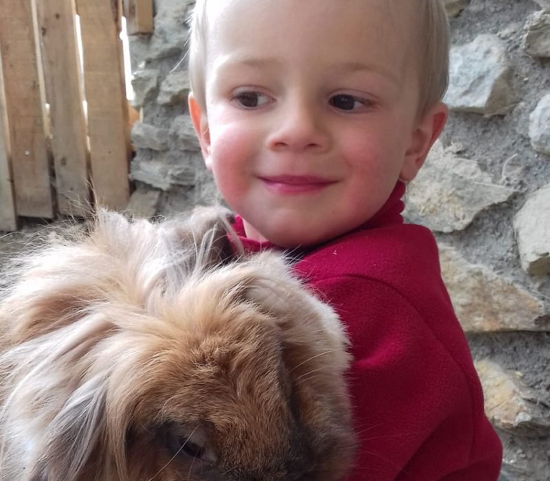 Peter-und-Hase-Fauli-am-Galtinerhof-Rodeneck-2017-851x1024