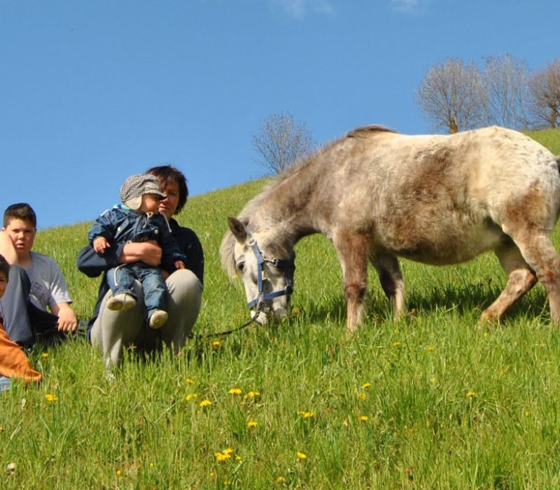Wir-heissen-unser-neues-Pony-willkommen-Galtinerhof-Erlebnisbauernhof-Suedtirol-1024x683